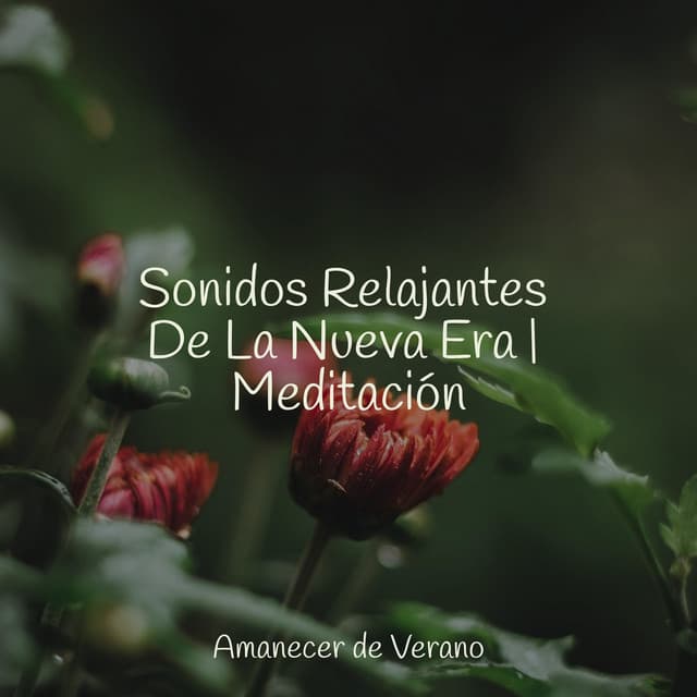 Sonidos Relajantes De La Nueva Era | Meditación - Guided Meditation
