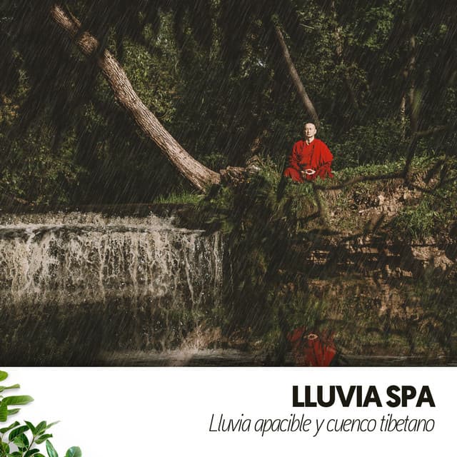 Lluvia Spa: Lluvia apacible y cuenco tibetano - Música Relajante Para Leer