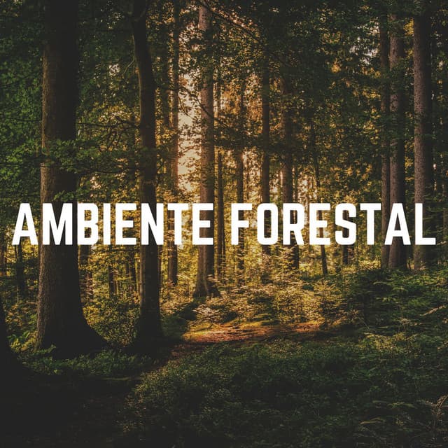 Ambiente Forestal - Sonidos de la Naturaleza para Dormir
