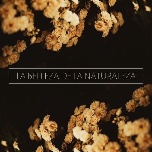 La Belleza De La Naturaleza: Música De Ambiente Para Masajes Y Terapias Naturales, Spa Y Centros De Belleza - Elena Ambiental