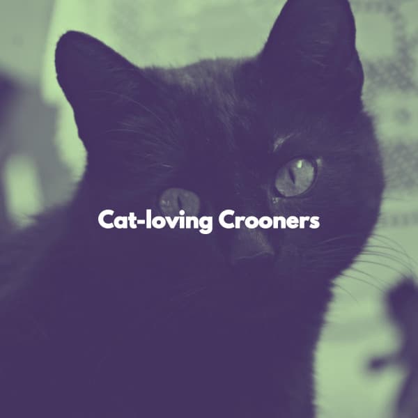 Cat-loving Crooners - Música para Hoteles Lujo