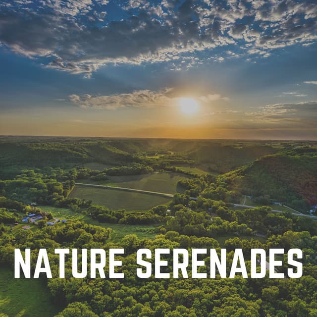 Nature Serenades - Island Nature Sounds