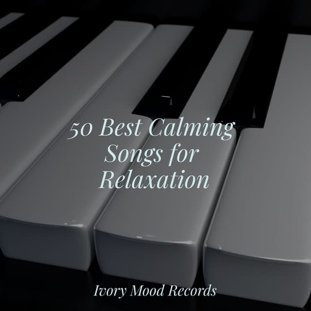 50 Best Calming Songs for Relaxation - Ivory Mood