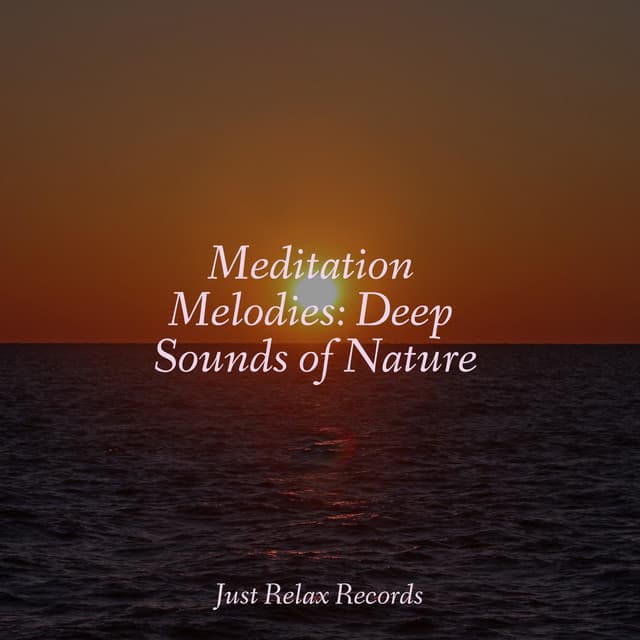 Meditation Melodies: Deep Sounds of Nature - Exam Study Classical Music