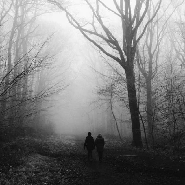 365 Forever: Behind Your Eyes - Lofi Chill