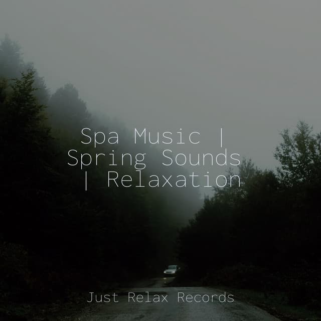 Spa Music | Spring Sounds | Relaxation - Calming Sounds