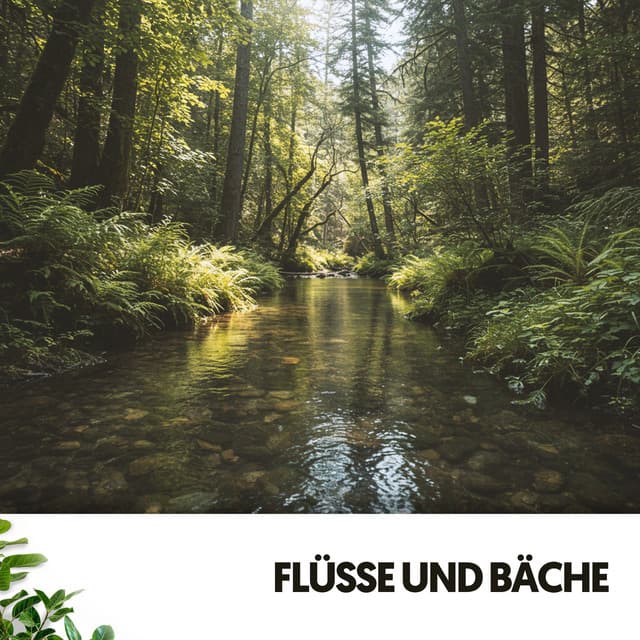 Flüsse und Bäche: Melodien des fließenden Wassers - Ruido Blanco Hart