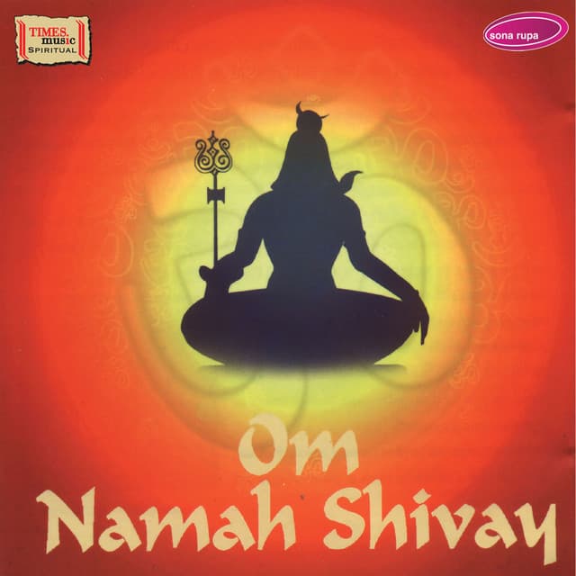 Om Namah Shivay - Rakesh Chaurasia