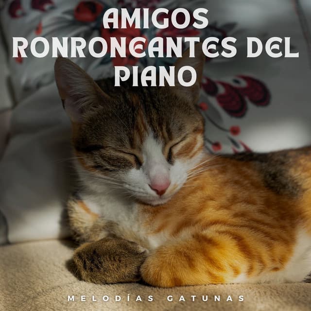 Amigos Ronroneantes Del Piano: Melodías Gatunas - Relajante piano hombre