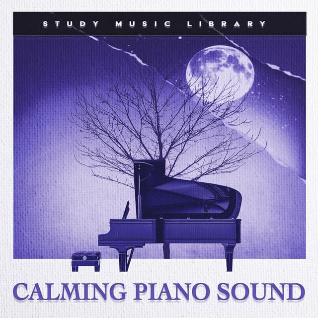Calming Piano Sound - Study Music Library