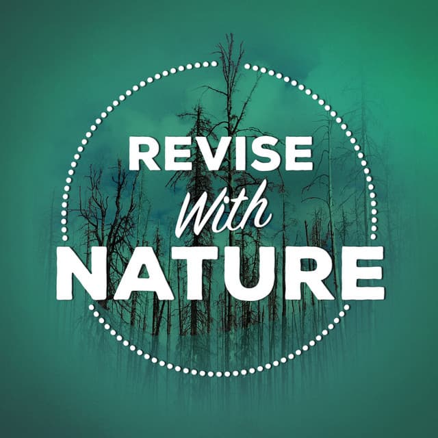 Revise with Nature - Exam Study Nature Music Nature Sounds