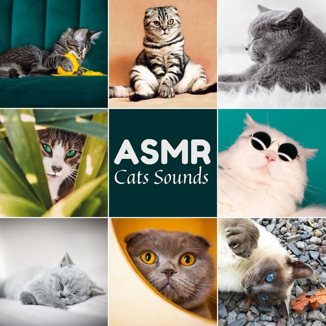 ASMR Sounds Clinic