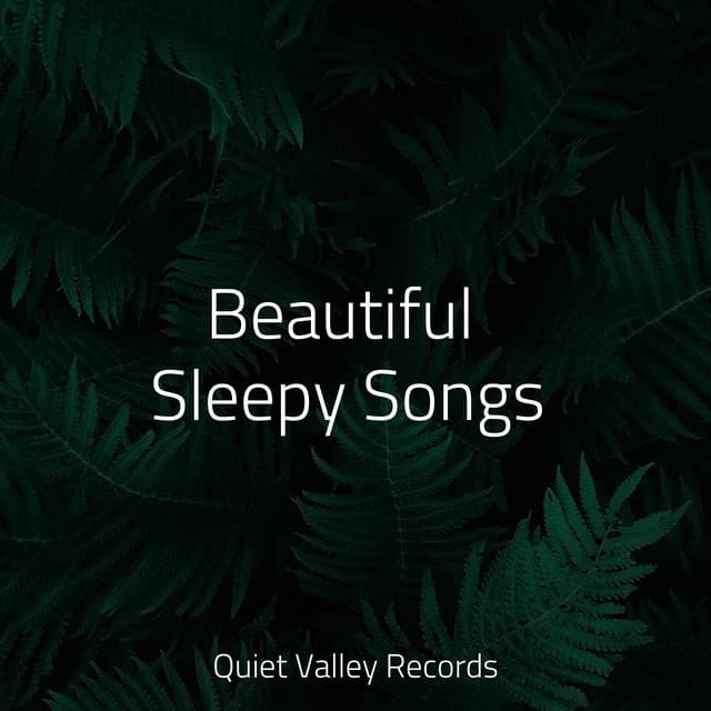 Beautiful Sleepy Songs - Forest Soundscapes