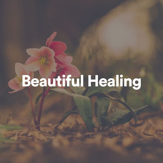 Beautiful Healing - Healing Music Spirit