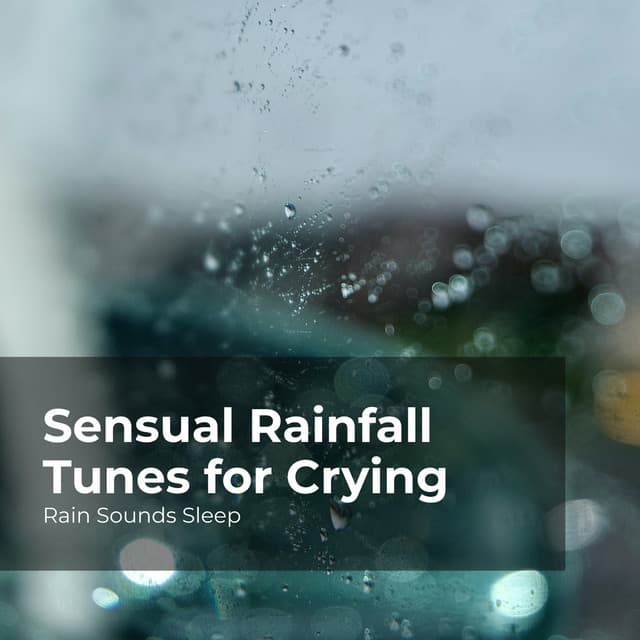Sensual Rainfall Tunes for Crying - Rain Sounds Sleep