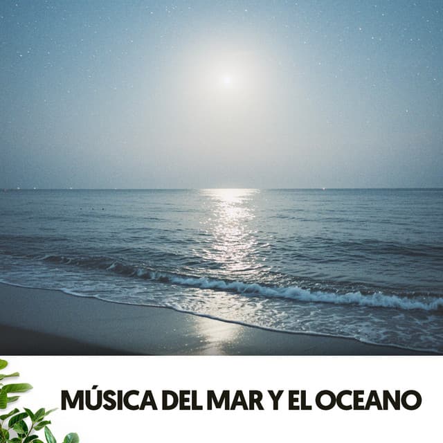 Música del Mar y el Oceano: Melodías del horizonte - Relajacion