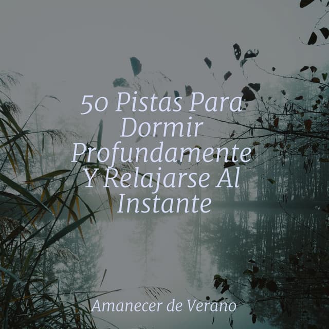 50 Pistas Para Dormir Profundamente Y Relajarse Al Instante - Spa
