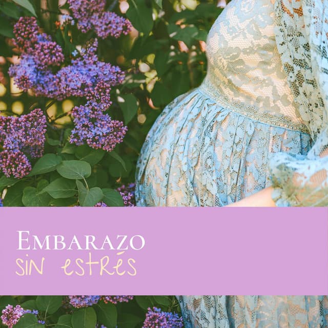 Embarazo Sin Estrés: Música Relajante para la Madre y el Feto con Efecto Antiestrés y Antiansiedad - Noche de Paz