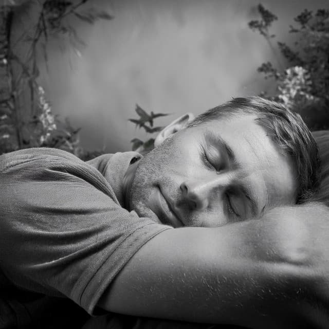 Relajación Calmante: Ritmos Para Un Descanso Tranquilo - Lista de Reproducción de Estudio