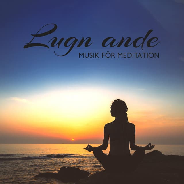 Lugn ande: Musik för meditation och stressreducering, Lugna ljud för sömn, Spa, Yoga - Djup Avslappningsövningar Akademi