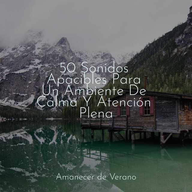 50 Sonidos Apacibles Para Un Ambiente De Calma Y Atención Plena - Musica para Bebes