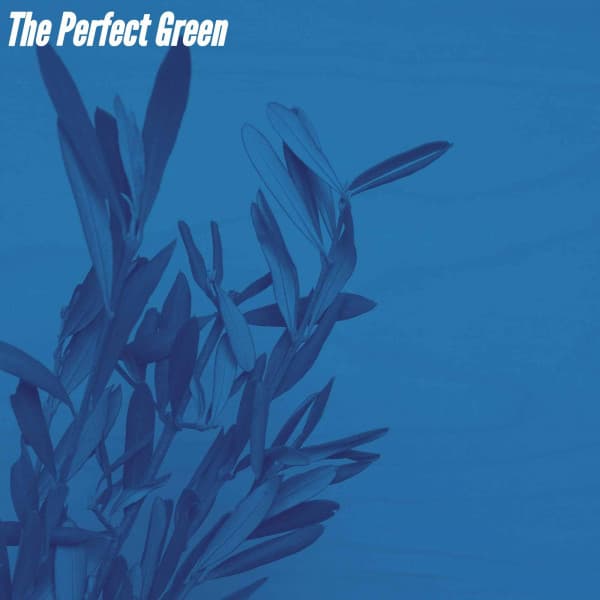 The Perfect Green - Cafe Jazz Deluxe