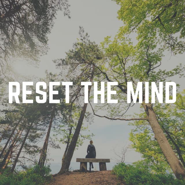 Reset the Mind - Collection Spa