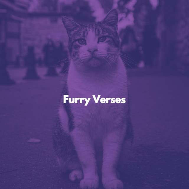 Furry Verses - Cat Relax