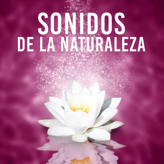 Sonidos de La Naturaleza – Armonía, Goodness, Kindness, Honesty, Asiático, Japonés, Feng Shui, Equilibrio - La Academia de Música para la Meditación de Sanación