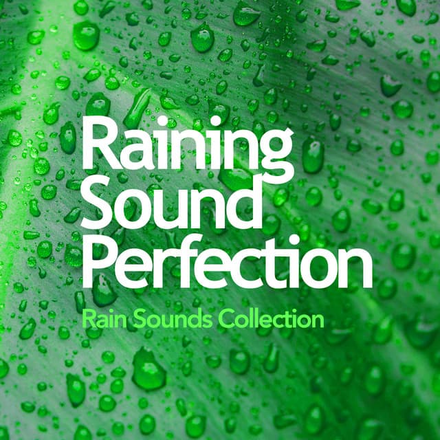 Raining Sound Perfection - Rain Sounds Collection