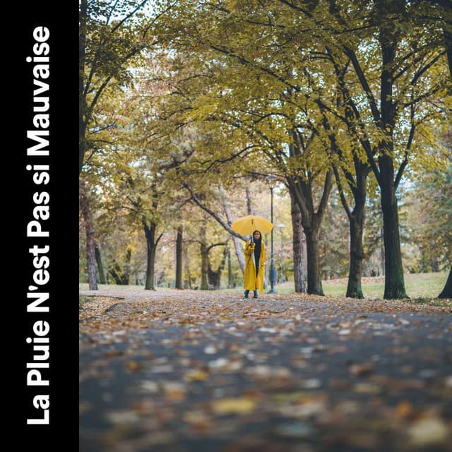 La Pluie N'est Pas si Mauvaise - Sons De Pluie HD