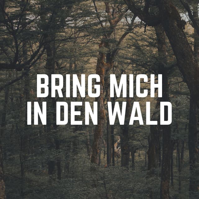 Bring Mich in Den Wald - Naturgeräusche