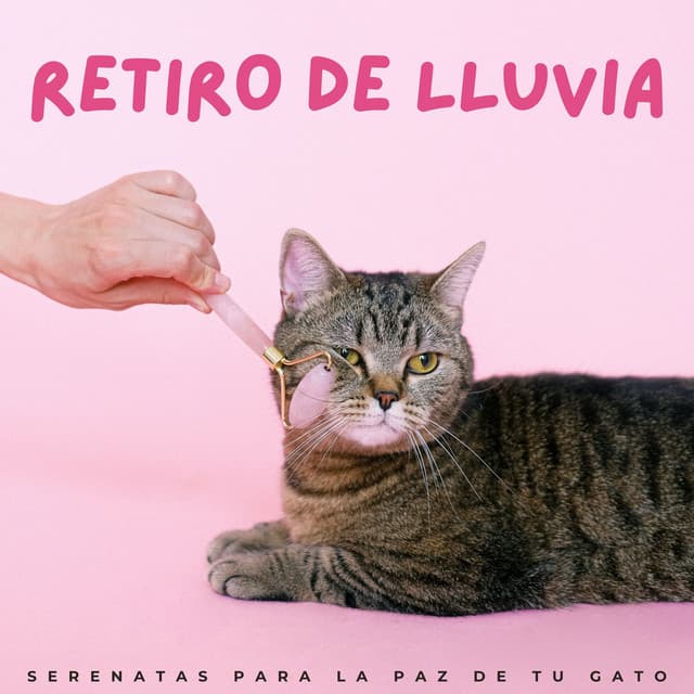 Retiro De Lluvia: Serenatas Para La Paz De Tu Gato - Ritmos de hip-hop de Lofi