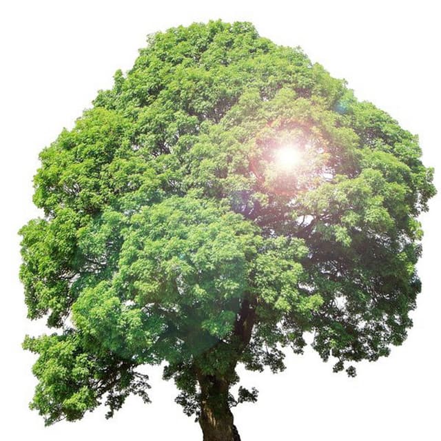 Comfortable Psychological Stability Meditation Music Collection for Meditation time and Comfort - Piano Meditation Music