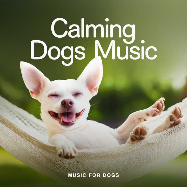 Calming Dogs Music - Music For Dogs