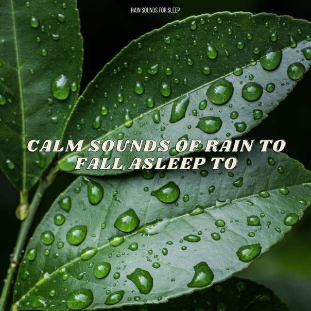 Calm Sounds Of Rain To Fall Asleep To - Rain Sounds For Sleep