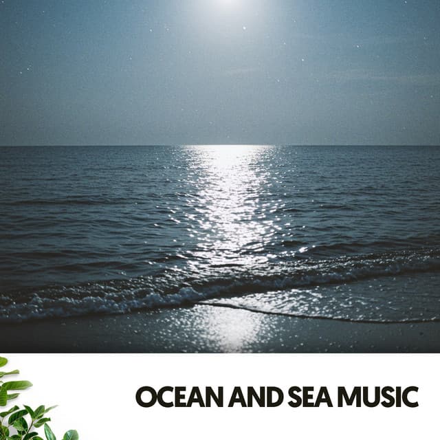 Ocean and Sea Music: Serenata nocturna - Cat Music