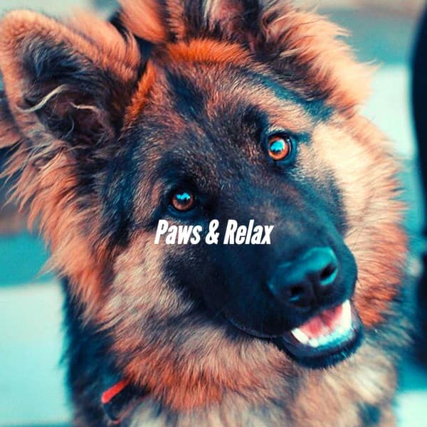 Paws & Relax - Relaxing Dog Music