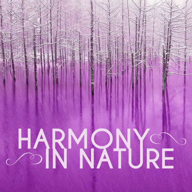 Harmony in Nature - Nature Sounds for Concentration
