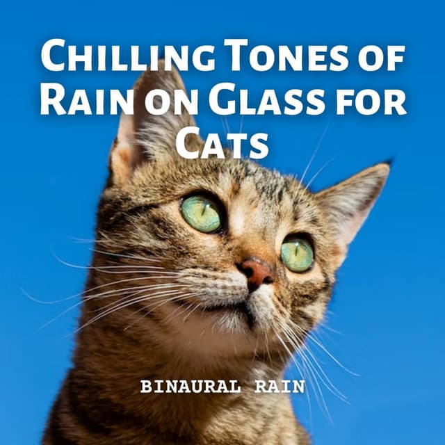 Binaural Rain: Chilling Tones of Rain on Glass for Cats - Sunday Chillout Songs
