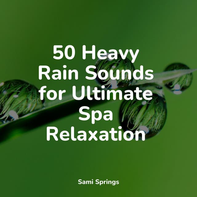 50 Heavy Rain Sounds for Ultimate Spa Relaxation - Rain Spa