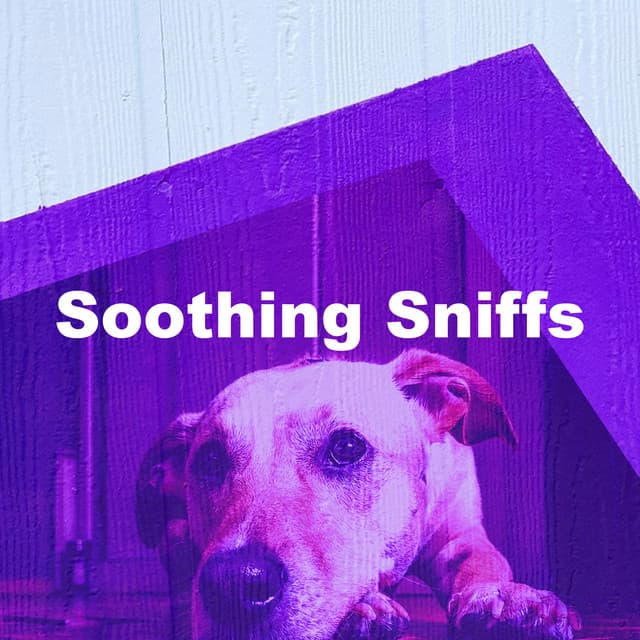 Soothing Sniffs - Relaxmydog