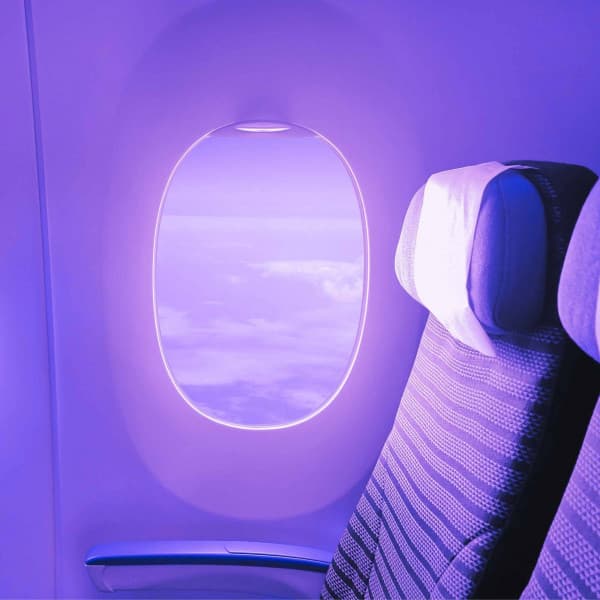 Music for Focusing Tales - Bossa Guitar Trio - Restaurant Jazz Playlist