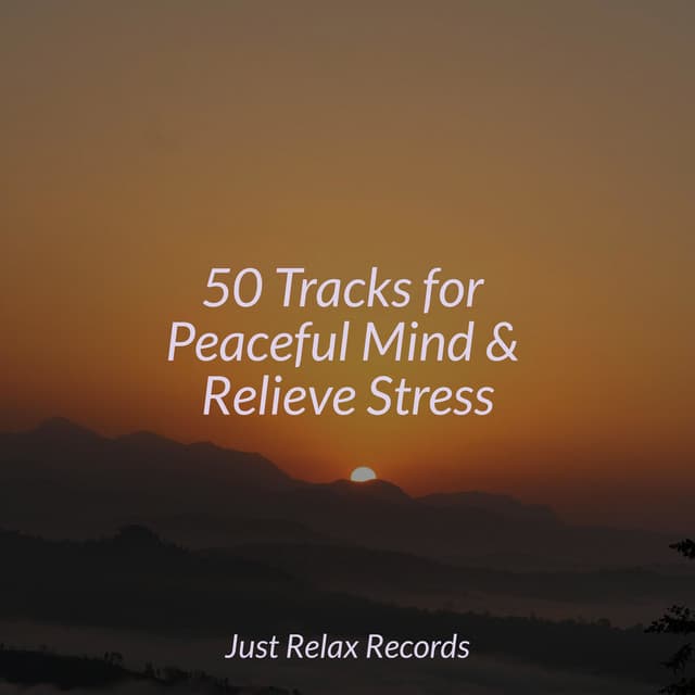 50 Tracks for Peaceful Mind & Relieve Stress - Meditar Profundamente