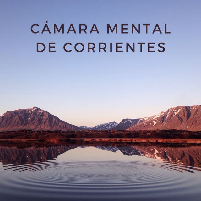 Cámara Mental De Corrientes - Aguas del diluvio