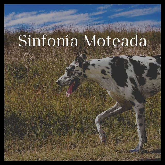 Sinfonía Moteada - Biblioteca de Música Para Mascotas