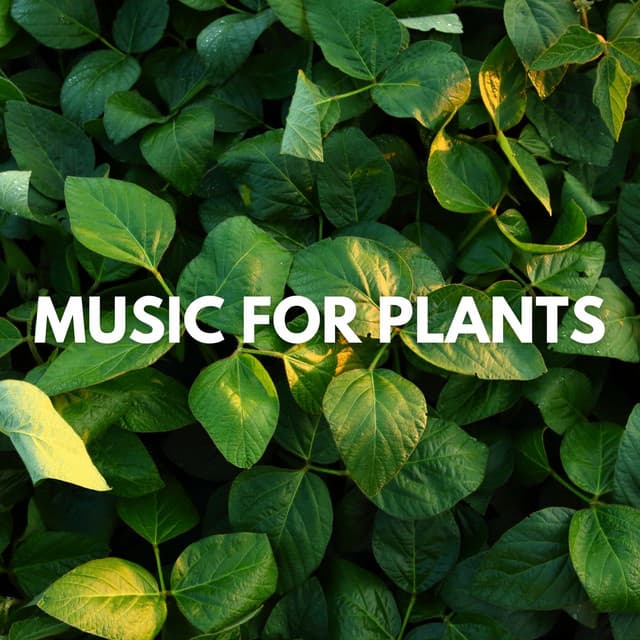 Music for Plants - Plant Music