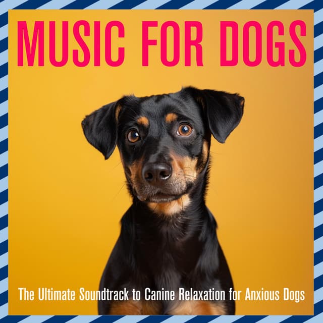 Music for Dogs: The Ultimate Soundtrack to Canine Relaxation for Anxious Dogs - Relaxmydog
