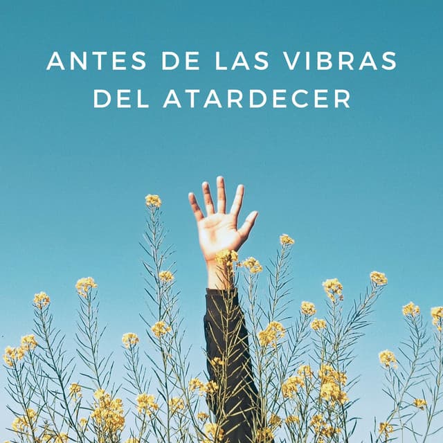 Antes De Las Vibras Del Atardecer - Lista de reproducción de Lofi