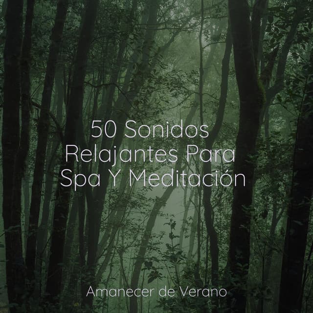 50 Sonidos Relajantes Para Spa Y Meditación - Rumbas de España